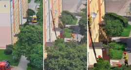 Akcja służb we Włocławku. Weszli przez okno i znaleź&hellip;