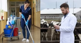 Szukasz pracy we Włocławku. Przegląd aktualnych nabo&hellip;
