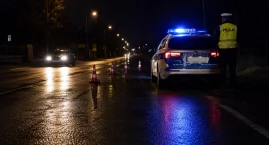 Sarny na Płockiej. Jedna wbiegła pod motocykl, rano &hellip;