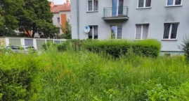 Trawa miała prawie 2 metry. Mieszkaniec poprosił nas&hellip;