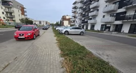 Chwasty i zarastające chodniki przy blokach na Celul&hellip;