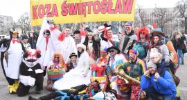 Korowód Grup Zapustnych 2019 we Włocławku. Kozy, diabły, bociany [ZDJĘCIA VIDEO]