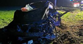 Wypadek w Puszczy Miejskiej. Zderzył się z łosiem, uderzył w przepust a potem w drzewo [ZDJĘCIA]