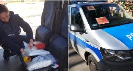 Lekceważą kwarantannę we Włocławku i okolicach? Policja wkracza do akcji