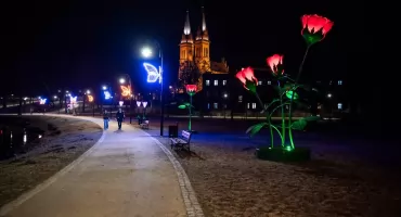 Wieczorna atrakcja Włocławka. Tak teraz wygląda wieczorny spacer w Parku Sienkiewicza
